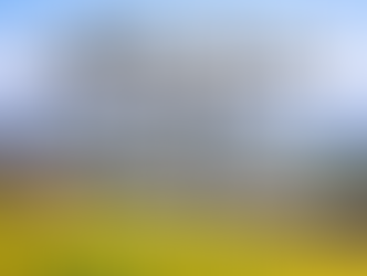 カフェって人間模様の図書館だァ