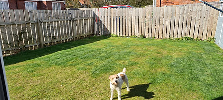 20210418_094727.jpg