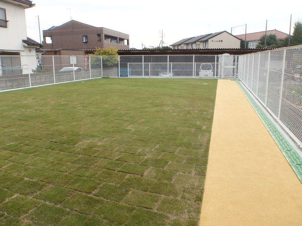 サムネイル： 2014年10月／みらい保育園　新築工事
