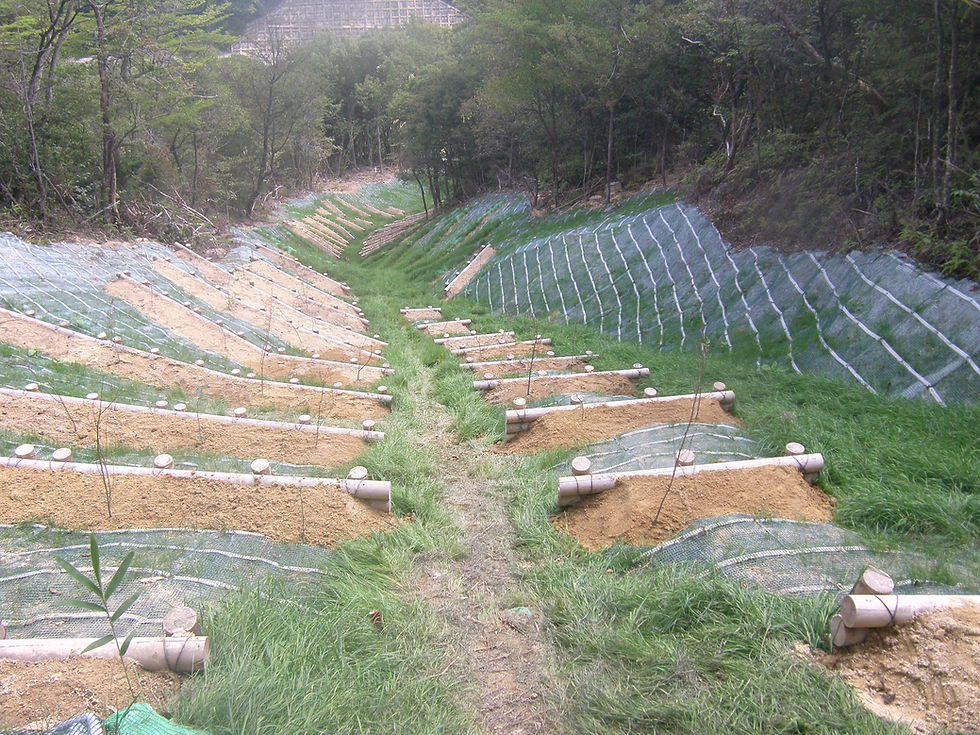 サムネイル： 2019年3月／浅原地区林地災害復旧工事