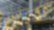 Warehouse Tracking Shot GIF (2).gif