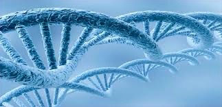 dna.jpg