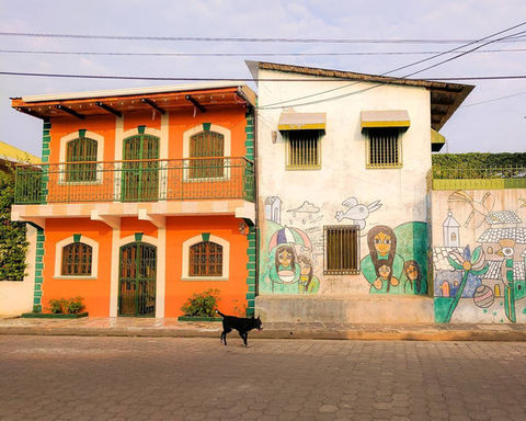 Black dog walking past colorful buildings, one orange, one white with mural.