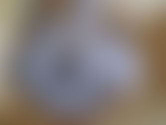 Na een onderbreking van 90 jaar weer Koningsschieting in Terlanen