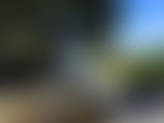 Petitie wil sluipverkeer uit Taymansstraat weren