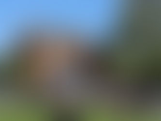 Meifeesten, het programma in details, van dansnamiddag over Sohieloop tot autobandencircus