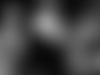 Hoeilander Jean-Luc Pappi pakt uit met zijn trio op Jazz@Felix