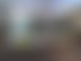 Er zal dan toch een bus door Moorsel blijven rijden