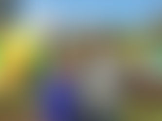 Nieuw subsidiereglement voor sport, jeugd, en cultuur