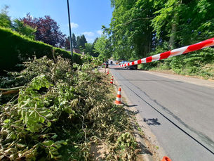 Plotselinge takval onder meer bekend als gevolg van zwakte