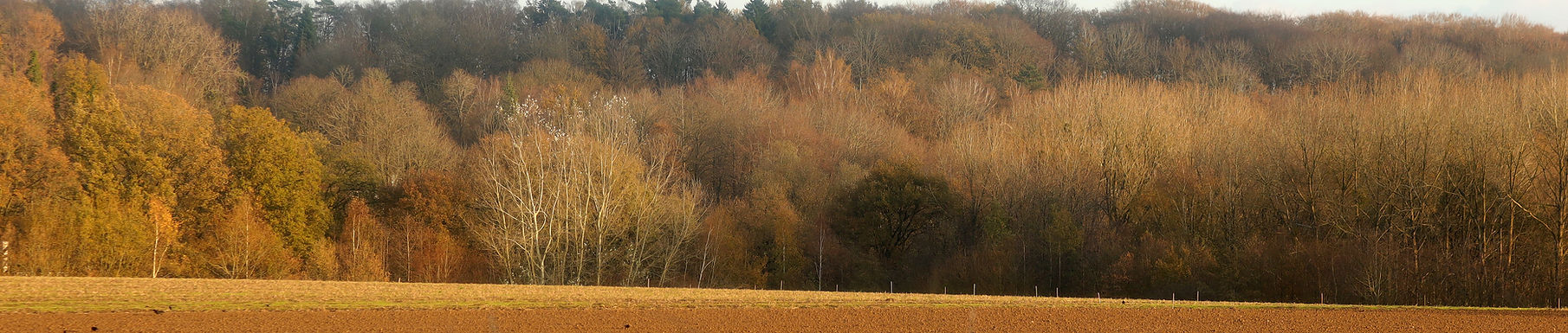 herfst definitief.jpg