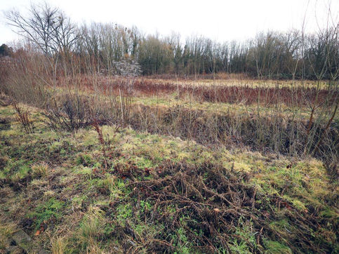 Overijse koopt stuk IJsevallei in kader van landinrichtingsplan