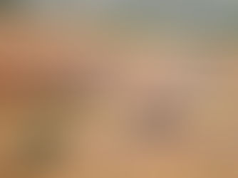 GROS-Hoeilaart en lokaal bestuur schenken 750 euro aan Dokters van de Wereld voor noodhulp Libanon