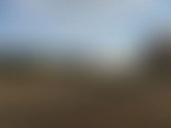 Natuurpunt en omwonenden halen slag thuis: vergunning megaserre vernietigd