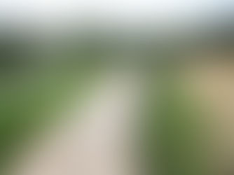 De vernieuwde jas van de Potvijver, een staaltje natuurherinrichting in Overijse