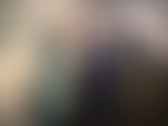 Artiestentoer start met fraaie overzichtsexpositie in De Warandepoort.