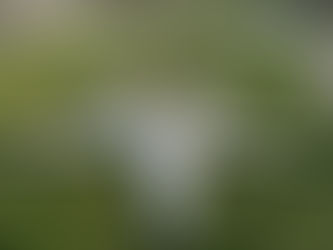 Huldenberg opent sterrenregister