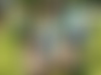 Color run in nieuw jasje maar zelfde kleuren en dat gaf vonken maar ook stressvrij vertier