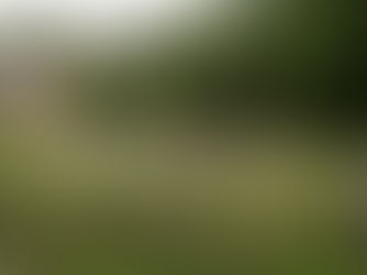 Leerlingen Basisschool 't Kasteeltje trekken in september naar containerklassen wegens sloop oude gebouwen en nieuwbouw die na krokusvakantie 2027 klaar moet zijn