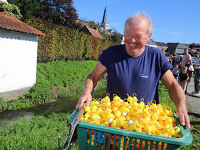 Alle eendjes zwemmen in het Huldenbergse water