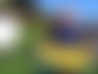 Alle eendjes zwemmen in het Huldenbergse water