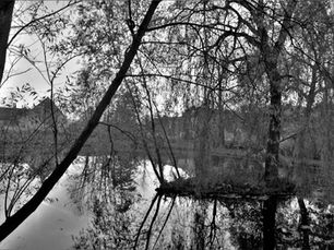 Door bemaling bouwproject Panquin zagen Robianovissers waterpeil van hun vijver zakken