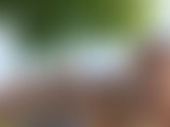 Hoeilaartse gemeenteraad stuurt open brief naar premier omtrent Gaza: 'Het wegkijken moet stoppen'