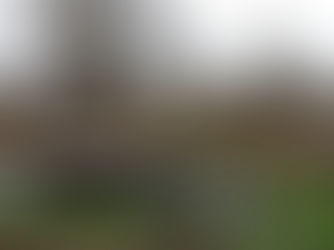 Fraaie herwaardering van parkje in wijk Sloesveld