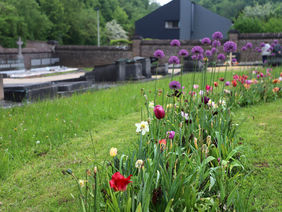 Begraafplaats heeft voortaan bloemenplukweide