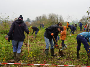 Duizend nieuwe bomen vormen voortaan het Elzendaalbos