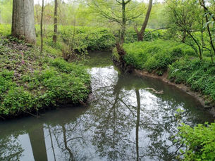 Overijse en Hoeilaart gaan natuurgebied Ten Trappen uitbreiden