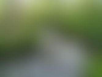 Overijse en Hoeilaart gaan natuurgebied Ten Trappen uitbreiden