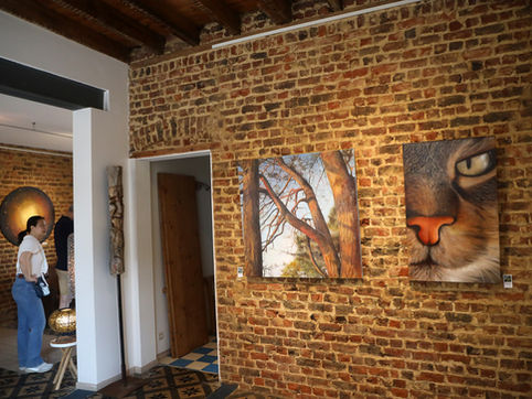 Reconnecting with Nature: vijf kunstenaars delen kunstgalerie (★★★☆☆)