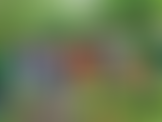 Nieuw vlonderpad in Warandepark van Halle