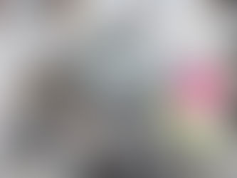 Sluikstortcamera's Interrand tonen duidelijke resultaten in Hoeilaart en Overijse