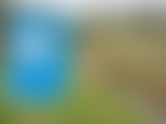 Start provinciale campagne tegen sluikstorten langs waterlopen