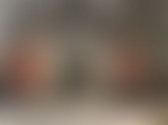 Leuvense Poort wordt gerestaureerd na stabiliteitsproblemen en beschadigd metselwerk