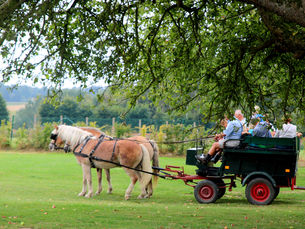 Familienamiddag Kamp Relax gaat Franse toer op