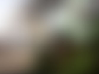 Soret Invest bv dient aanvraag sloop in om plaats te ruimen voor woonblok met 20 appartementen