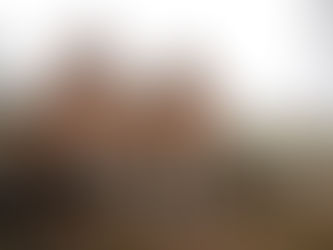 Spaans Huis/Gordaelmolen legt boeken neer 'door werken aan nieuwe fietssnelweg'