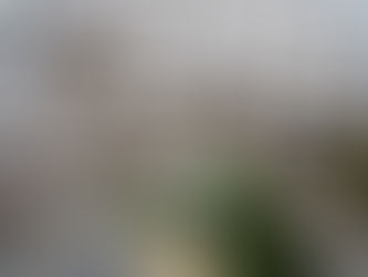 Scoutsdorp Druivenfeesten bezocht door drieste ongenode gasten