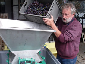 Bij Soniën start maandag al het druivenpersen