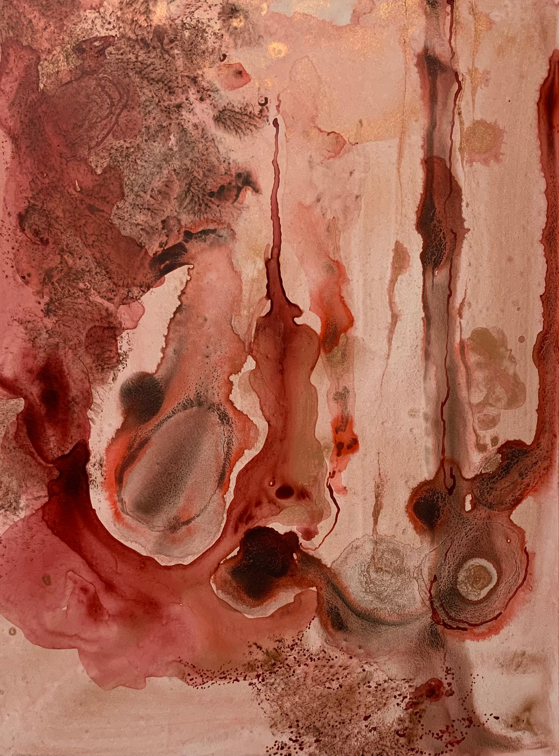 Red Earth Study- Fire