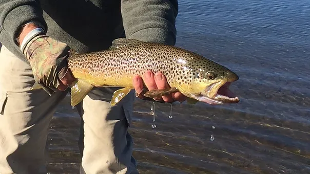 Fishing Lake Eucumbene
