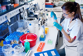 Lab Work