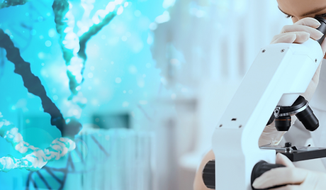 DNA Testing performing using the microscope