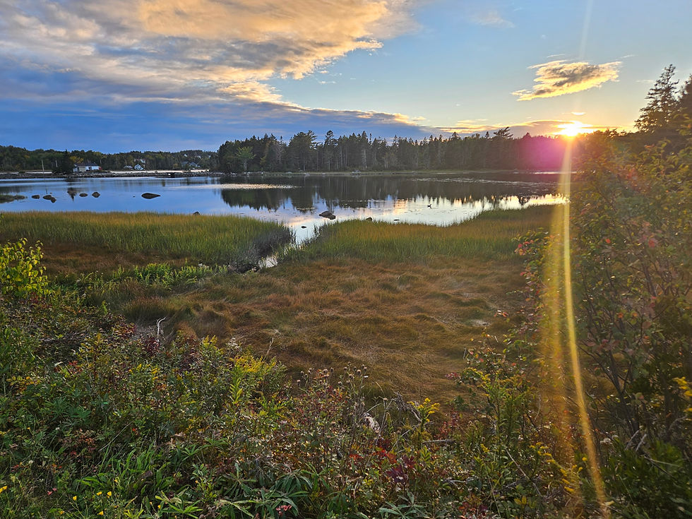 This is a photo from a morning run in Glen Margaret, Nova Scotia