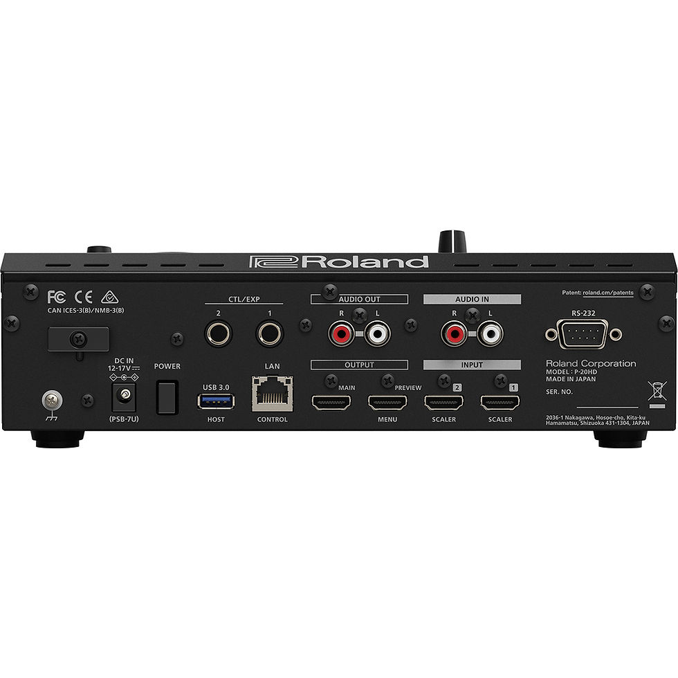Miniatura: Roland Video Instant Player/ Recorder