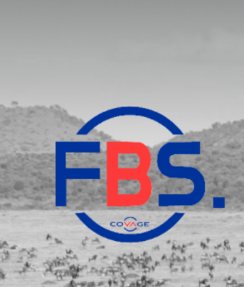 fbsync.png
