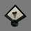 Thumbnail: Mako shark tooth fossil no5